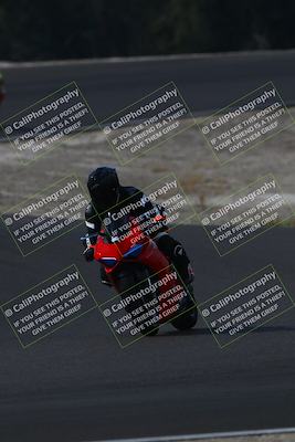 media/Nov-02-2025-Lets Ride (Sun) [[f7a3caa734]]/C Group/1040am (turn 3)/